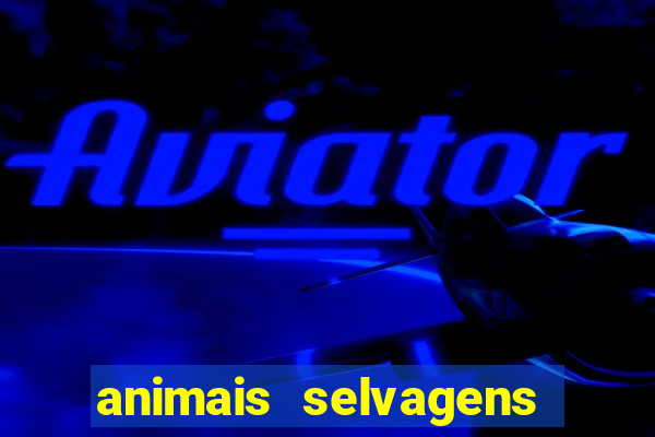 animais selvagens fotos e nomes